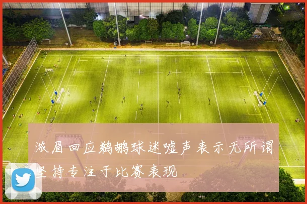 浓眉回应鹈鹕球迷嘘声表示无所谓坚持专注于比赛表现